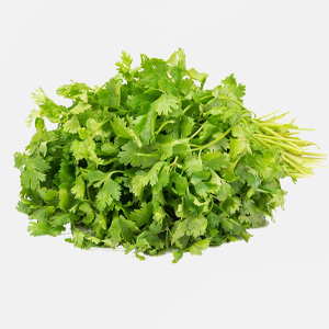 Coriander Leaf